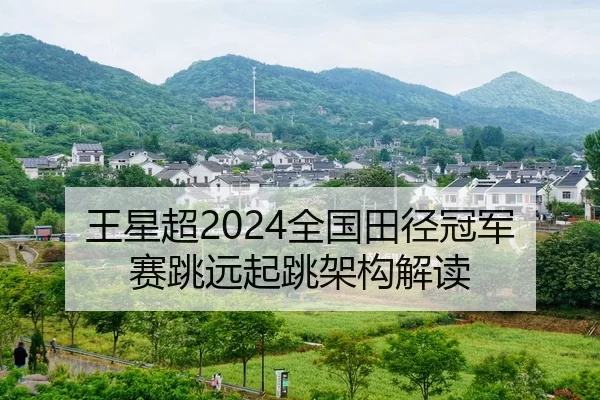wang-xing-chao-quan-guo-tian-jing-guan-jun-sai-tiao-yuan-qi-tiao-jia-gou-jie-du-2-784.jpg