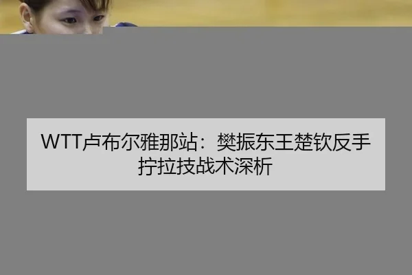 WTT卢布尔雅那站：樊振东王楚钦反手拧拉技战术深析